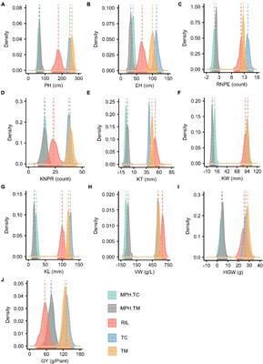 Genetic Dissection of Hybrid Performance and Heterosis for Yield-Related Traits in Maize